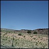 IMGP1159.JPG