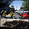 IMGP1167.JPG