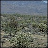 IMGP1173.JPG