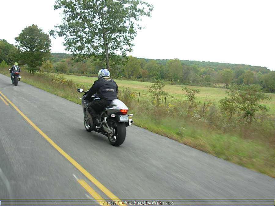 fofride5.jpg
